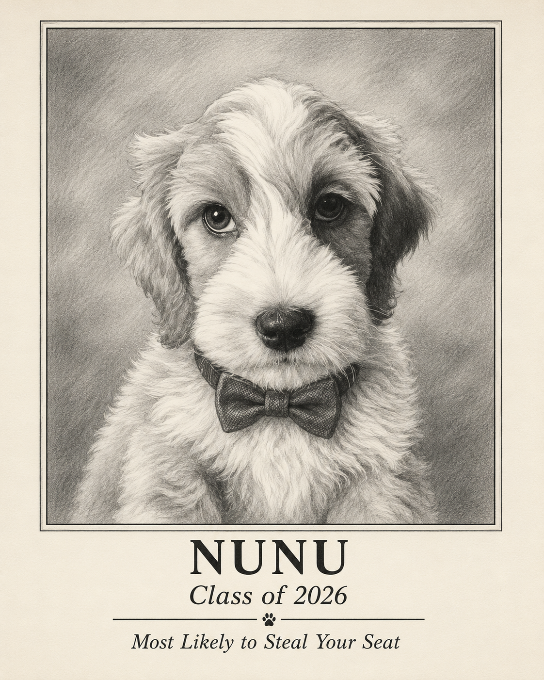 Custom Character Pet Portrait